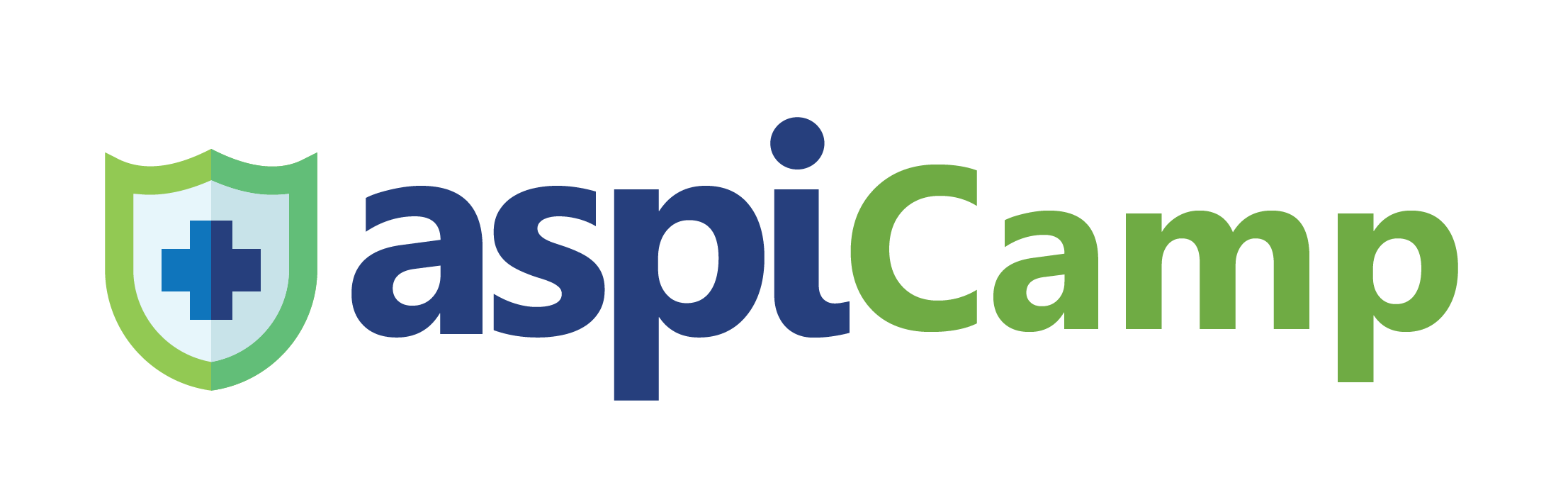 ASPI Camp Logo